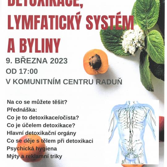 Detoxikace,lymfatický systém a byliny 1